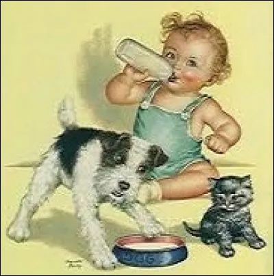 Quelle est la fonction de l'adjectif dans la phrase "le quiz est simple" ?