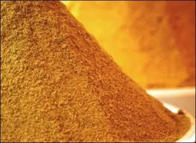 Quel est le nom du safran des Indes ?