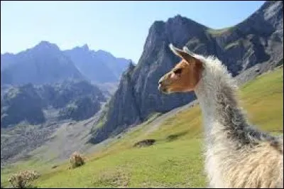 Le drapeau du Chili a une étoile blanche, symbolique de l'unité de la République, en haut à gauche, sur fond bleu d'un carré de ciel.