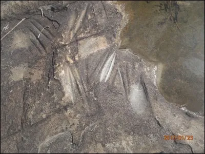 Comment appelle-t-on ces endroits, situés le long des fleuves, où nos lointains ancêtres affûtaient les lames de leurs outils et de leurs armes ?