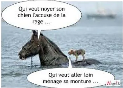 "Qui veut noyer son chien, l'accuse de la rage". Que signifie cette expression ?