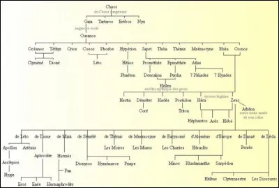 Dans un clan, quel statut aurais-tu ?