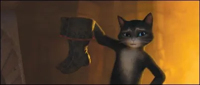 Comment s'appelle ce chat ?