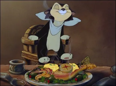 Comment s'appelle ce chat ?