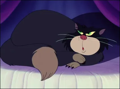 Comment s'appelle ce chat ?