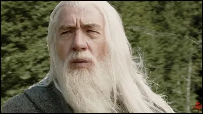 Qui est ce magicien ?