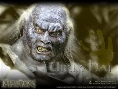 Comment s'appelle cet Orque noir ?