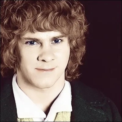 Qui est ce Hobbit ?
