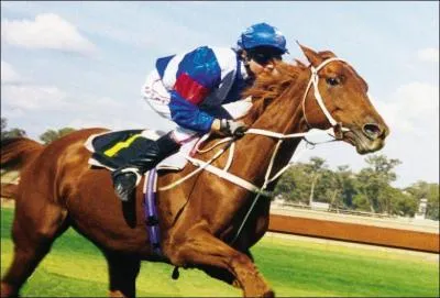 Quel est le titre de ce film ?