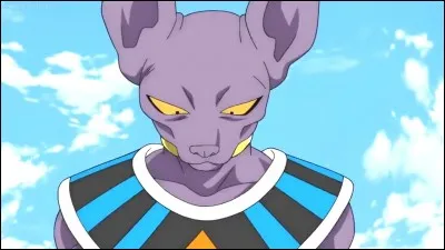 Qui est le fr&egrave;re de Beerus ?