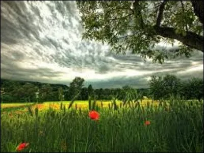 Qu'appelle-t-on les décrochez-moi-ça ?