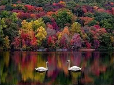 En musique, que vaut une croche ?