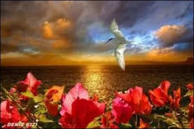 Qui est Croc-Blanc ?