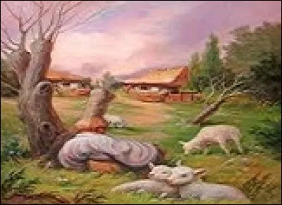 Une espèce de plante grasse porte le nom de croc de sorcière.