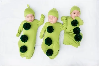 Ces triplés portent un petit costume pour Halloween. En quoi sont-ils déguisés ?