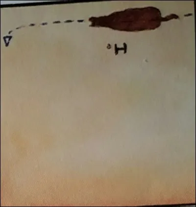 À quelle main marche ce cheval ?