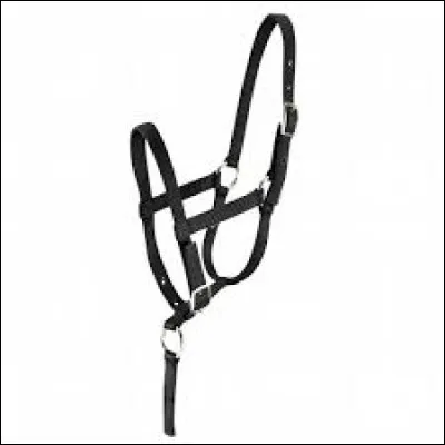 Qu'est-ce qu'un licol ?