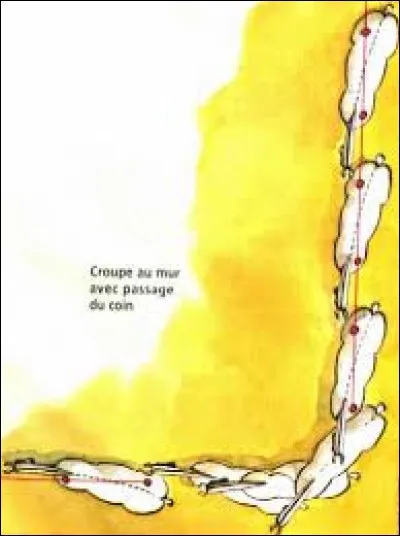 À quelle main marche ce cheval ?