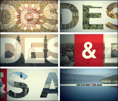 Sur quelle chaîne passe "Des racines et des ailes" ?