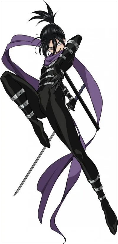 Quelles sont les principales attaques de Sonic ?