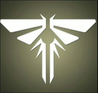 Pourquoi les lucioles ne sont-elles pas présentes à l'université comme prévu ?