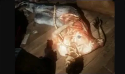 Pourquoi Frank est-il parti de chez Bill ?