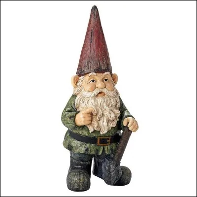 Quel est le pouvoir du gnome ?