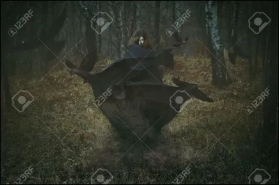 Quel est l'amoureux des sorcières ?