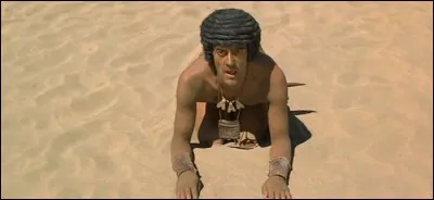 Les "mouches d'or" sont la plus haute décoration. Pour quel fait ?