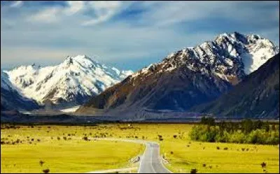 Quel fidèle animal aurait été domestiqué en Belgique et en Sibérie, fossiles faisant foi, il y a près de 30 000 mille ans ?