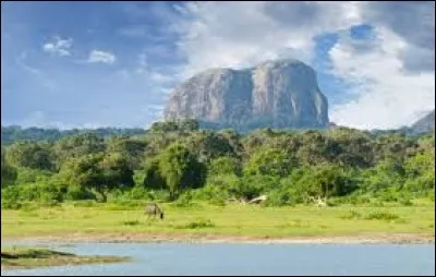 Dans quelle île du bassin Levantin, a-t-on trouvé les fossiles de sangliers domestiqués ?