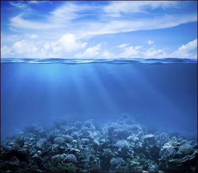 Quel pays n'a pas de frontières avec une mer ou un océan ?