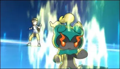 Quel est l'évolution de Marshadow ?