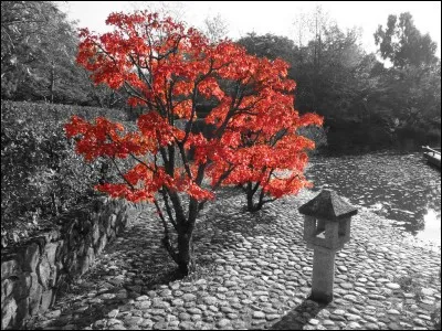 Son po&egrave;me, nomm&eacute; "L'automne" commence par ces vers : Salut, bois couronn&eacute;s d'un reste de verdure,Feuillages jaunissants sur les gazons &eacute;pars !Salut, derniers beaux jours ! le deuil de la nature :