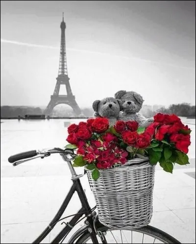 Qui chantait : " Je n'ai d'yeux que pour elle. Ma maison, ma tour Eiffel" ?