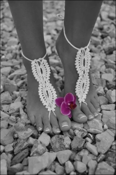 Quelle fleur est repr&eacute;sent&eacute;e sur cette image ?