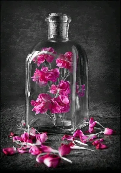 Quel est ce parfum de Miyake, aux notes fleuries, o&ugrave; l'on per&ccedil;oit la fragance de l'oeillet ?