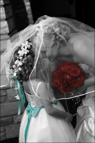 Qui chantait "Elle est d&eacute;j&agrave; ma femme, elle sent qu'elle a gagn&eacute;, la mari&eacute;e. Vive la mari&eacute;e !" ?