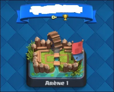 Quelle est cette arène ?