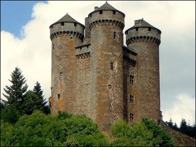 Situé en face du château de Tournemire dans le Cantal,quel est ce château qui fut témoin d'une lutte entre seigneurs et qui se termina dans la plus pure tradition chevaleresque par un mariage de réconciliation?