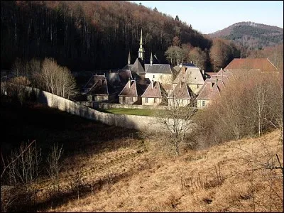 Quelle est cette chartreuse fondée en juin 1115,située dans le département de l'Ain,dont les moines confectionnent des emballages en bois pour les bouteilles de liqueur de Chartreuse?