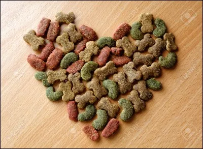 Que mangent les chiens ?