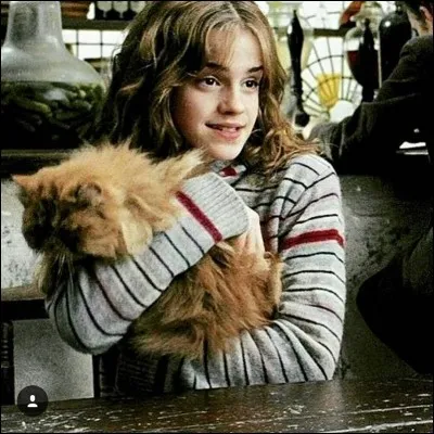 Comment s'appelle le chat d'Hermione ?