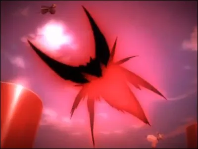 Quel est le nom de cette attaque ?