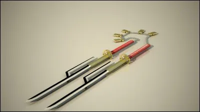 Quel est le nom de ce zanpakuto ?