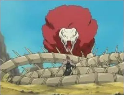 Quel est le nom de ce bankai ?