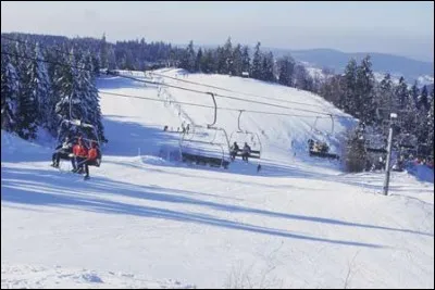 Pour aller skier à la station de La Bresse, il faut aller dans :