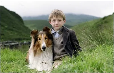Qui a écrit le roman "Lassie chien fidèle" ?