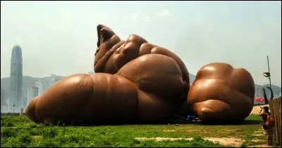 Ni des plus élégants, ni des plus ragoûtants... Que voyons-nous ici ?