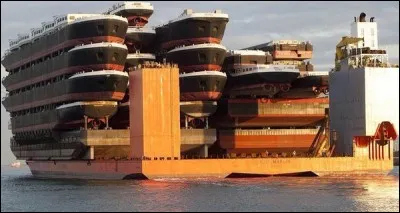 Cela ne paraîtra peut-être pas incroyable à certains, plus familiers des transports maritimes, mais voici d'étonnants bateaux transportant... des bateaux ! comment les nomme-t-on ?